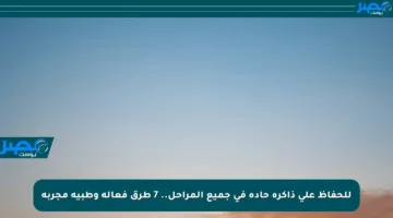 للحفاظ على ذاكرة حادة في جميع المراحل.. 7 طرق فعالة وطبية مجربة